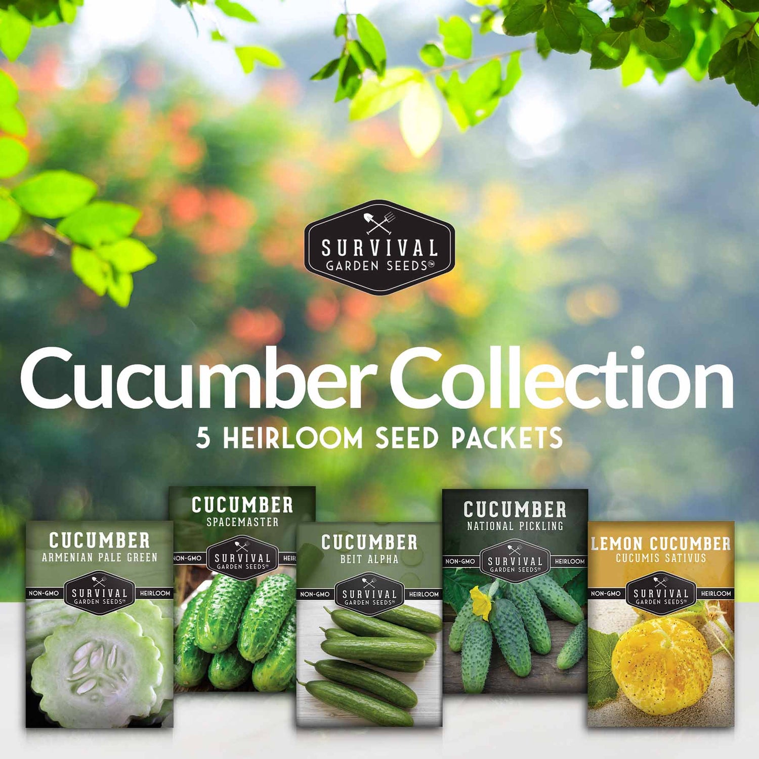 5 packets of cucumber seeds