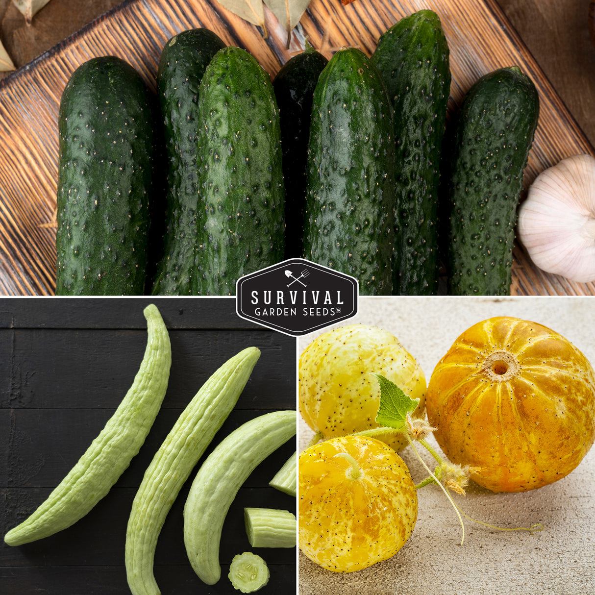 Three images of green cucumbers, green beans, and yellow gourds on a wooden surface with 'Survival Garden Seeds' logo.