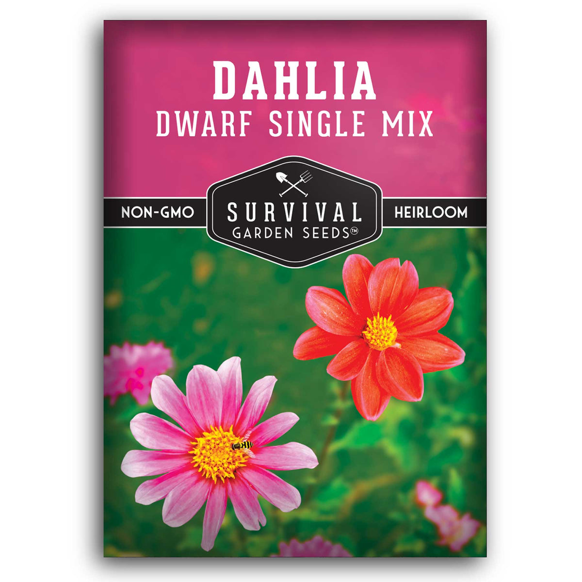 dahlia flower seeds online shopping Dwarf Mix Dahlia Seeds – Compact Single Blooms