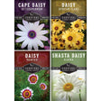 Daisy Seed Collection