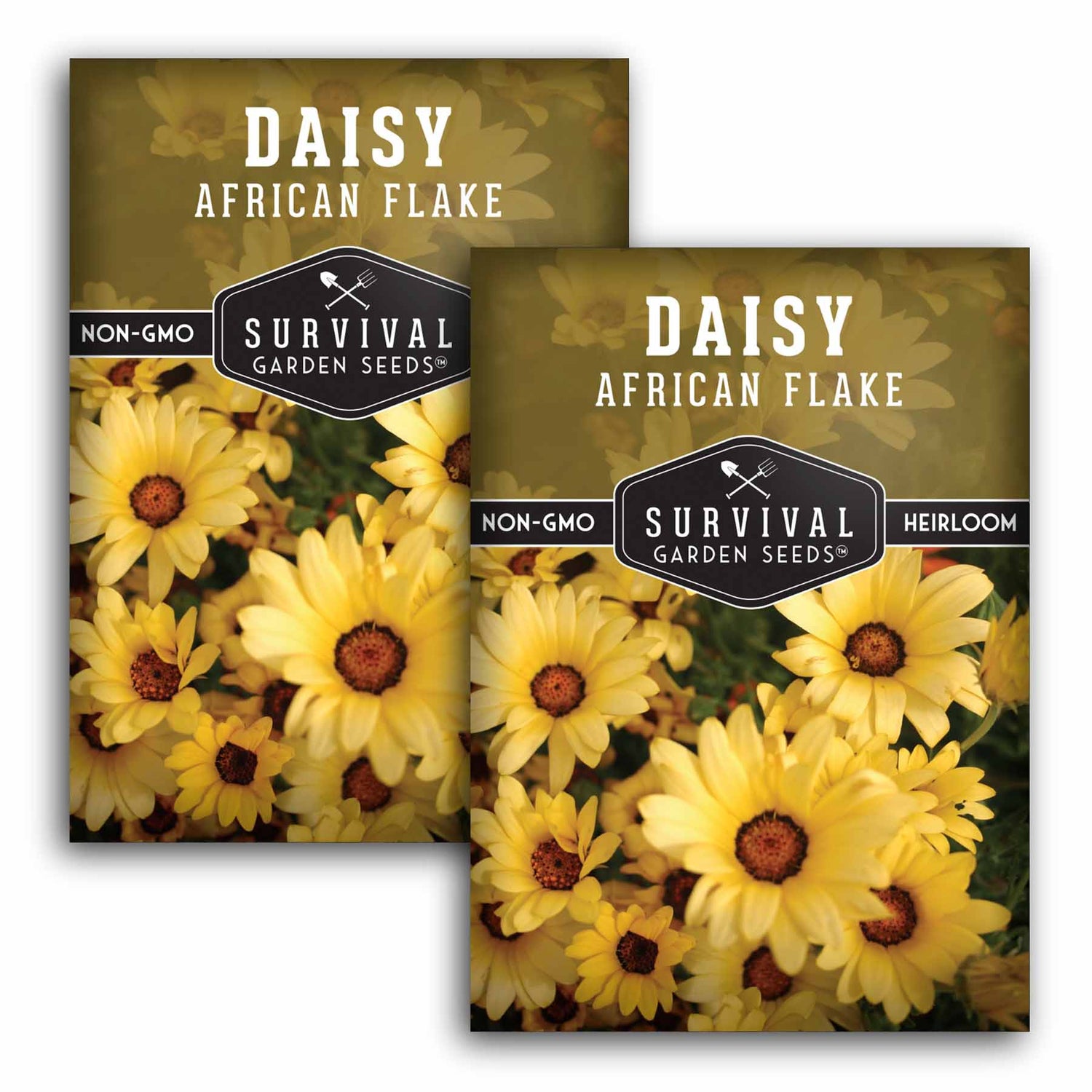 2 Packets of African Flake Daisy Seeds