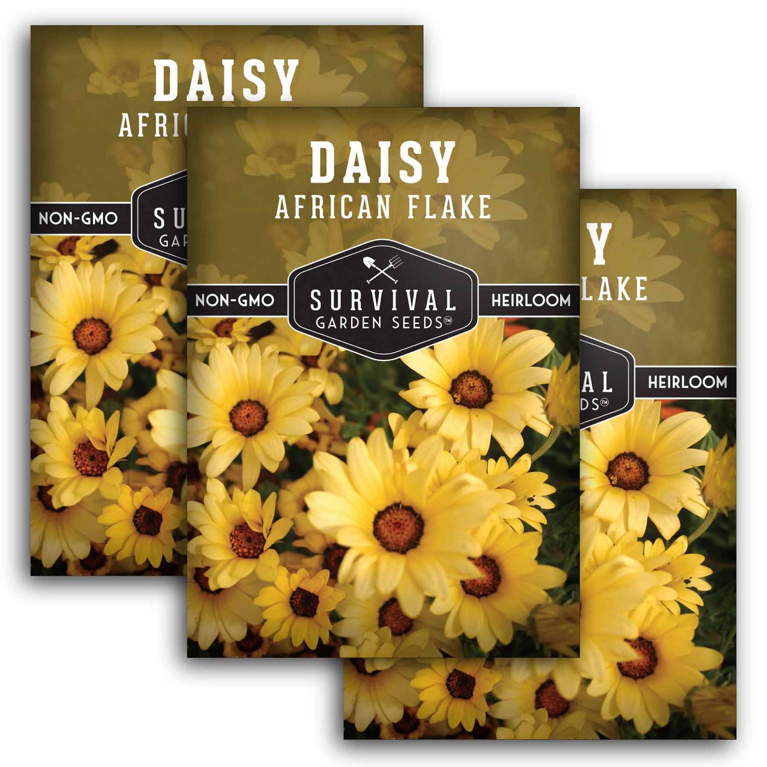 Three packages of Survival Garden Seeds Daisy African Flake with yellow flowers on a white background