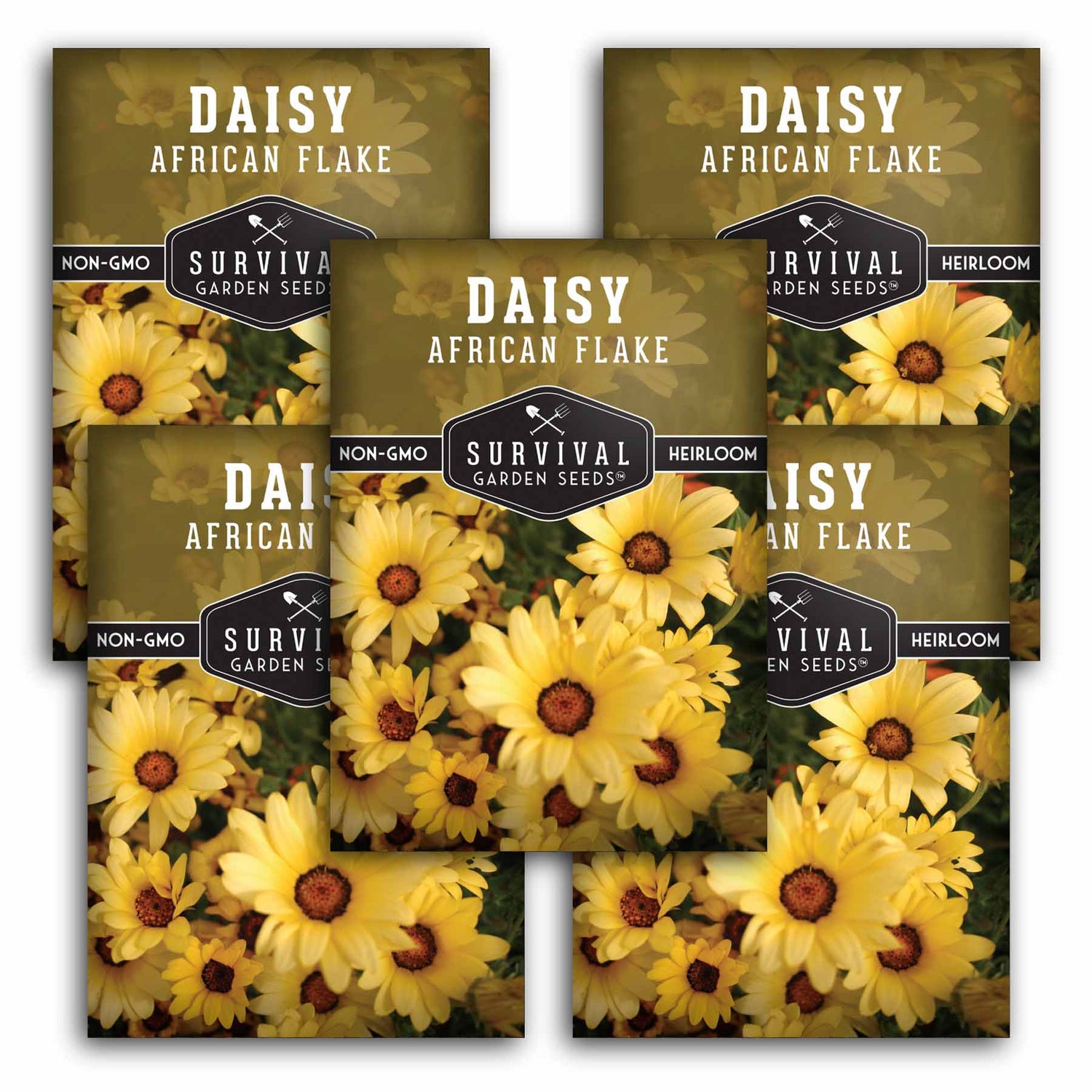 5 Packets of African Flake Daisy Seeds