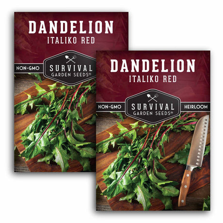 2 Packets of Survival Garden Seeds Italiko Red Dandelion Seeds on a white background