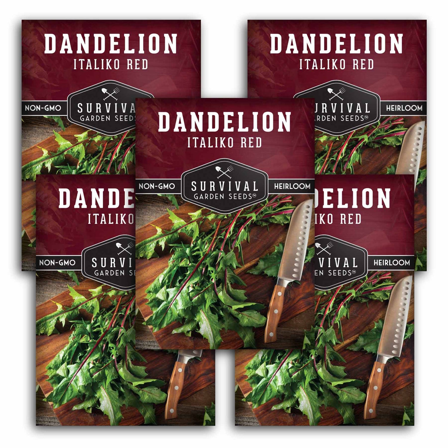 5 Packets of Survival Garden Seeds Italiko Red Dandelion Seeds on a white background
