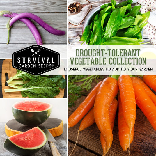 Drought Tolerant vegetable collection - 10 useful vegetables to add to your garden