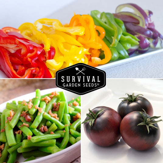 Bell peppers, beans and tomatoes