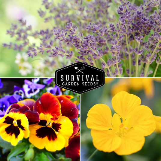 Edible flowers, pansy and lavender