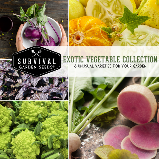 Exotic Vegetable collection - 6 unusual varieties for your garden