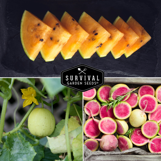 orange watermelon, lemon cucumber, watermelon radish