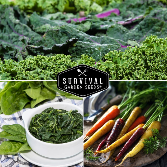 Fall garden vegetables - kale, carrots, spinach