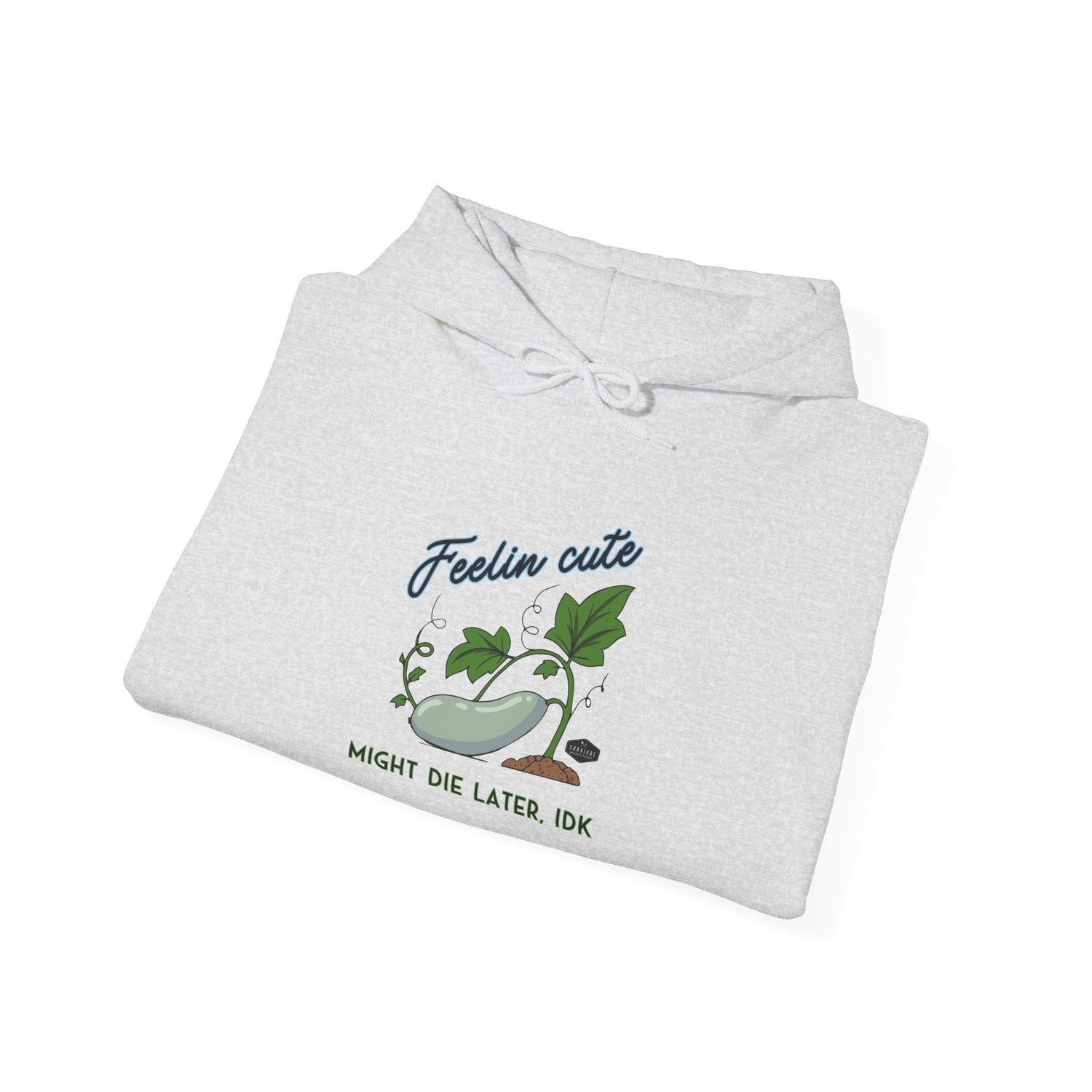 Unisex Hoodie - Feelin' Cute Might Die Later IDK - folded - Ash