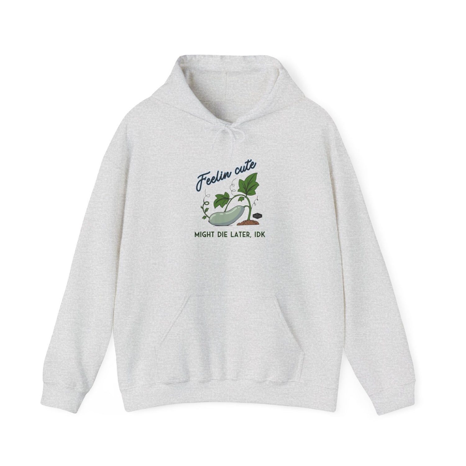Unisex Hoodie - Feelin' Cute Might Die Later IDK - front - Ash