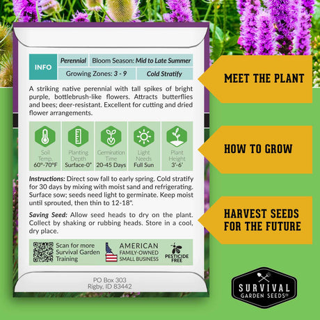 Gayfeather seed growing instructions