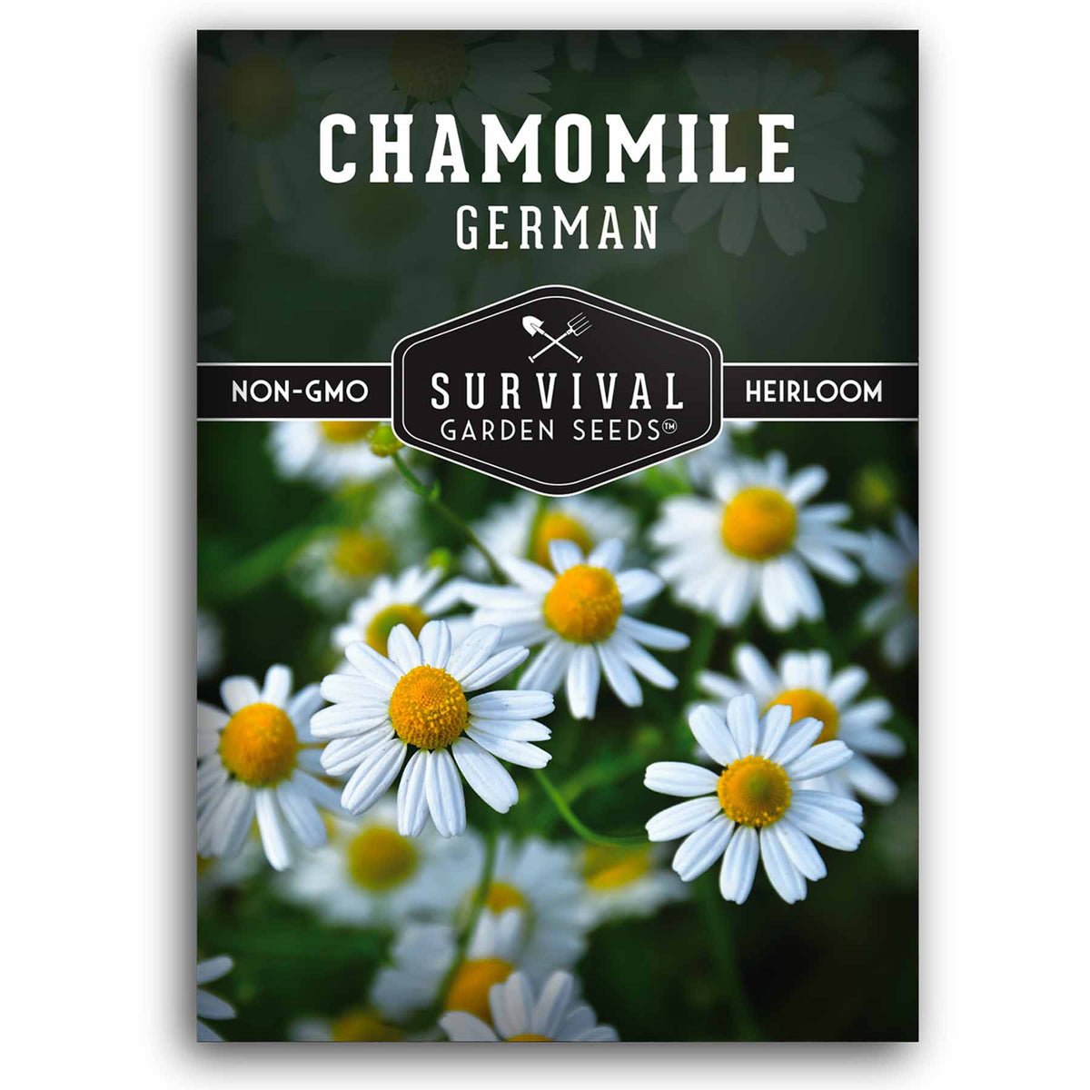 chamomile flower seeds German Chamomile Seeds