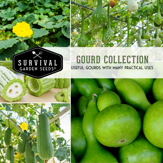 Gourd Seed Collection - grow your own useful gourds