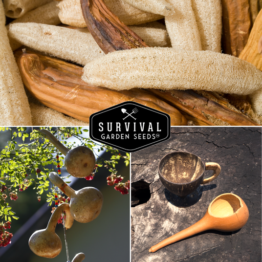 Loofa and dipper gourds