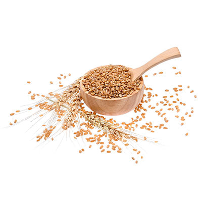 Grains and Cover crop seeds category