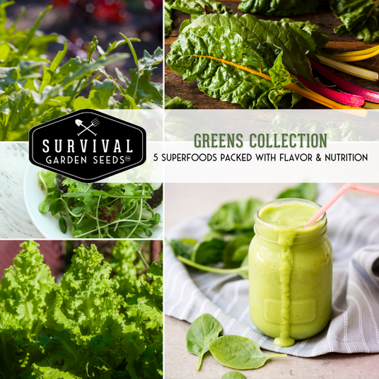Greens seed collection - 5 superfood green vegetables