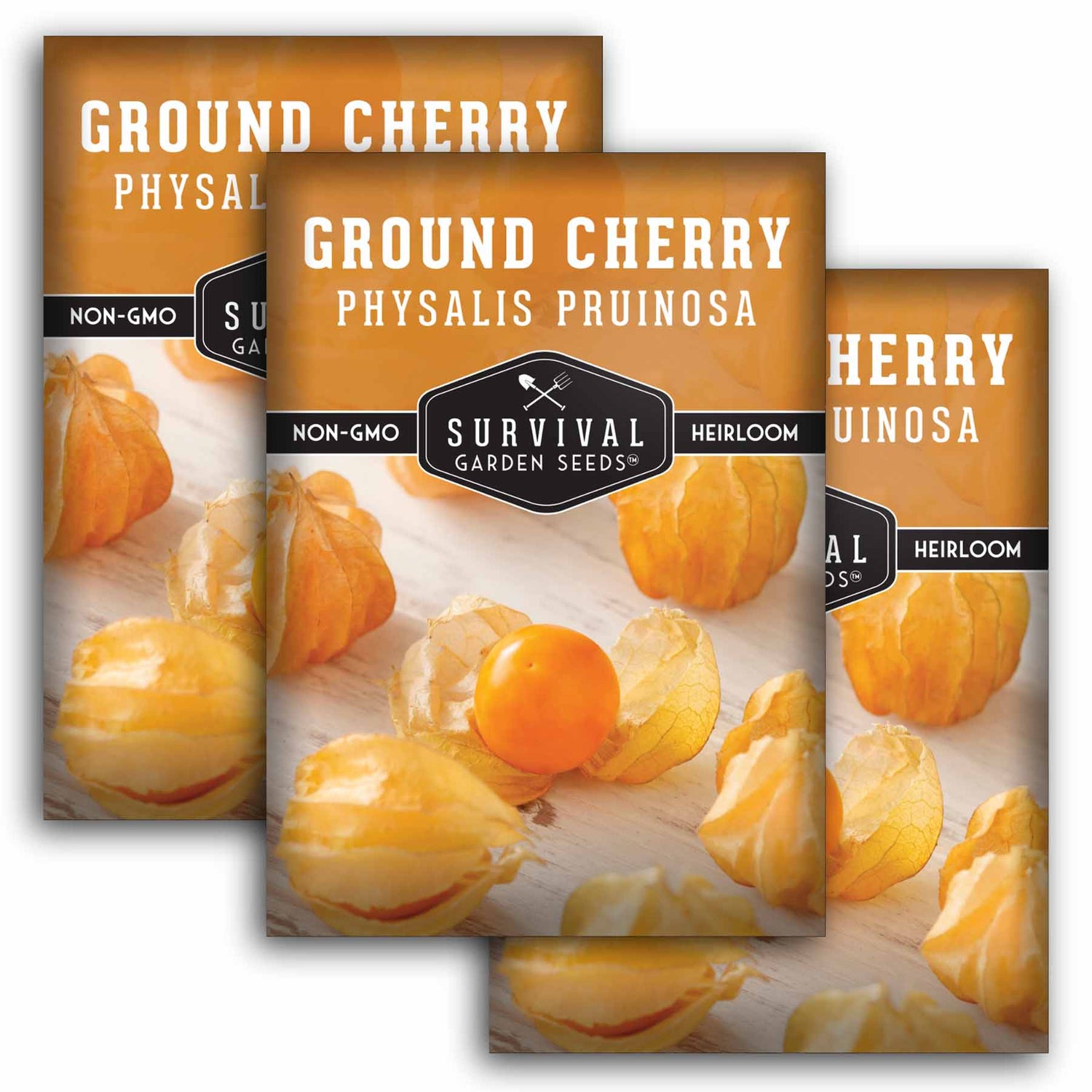 3 Packets of ground cherry seeds