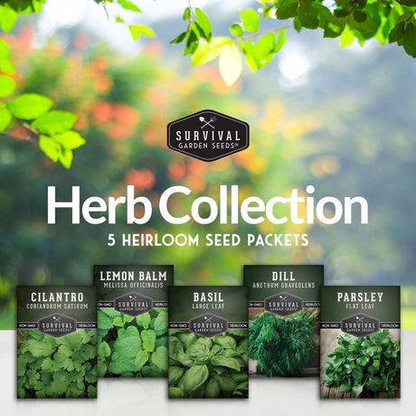 5 packets of heirloom herb seeds