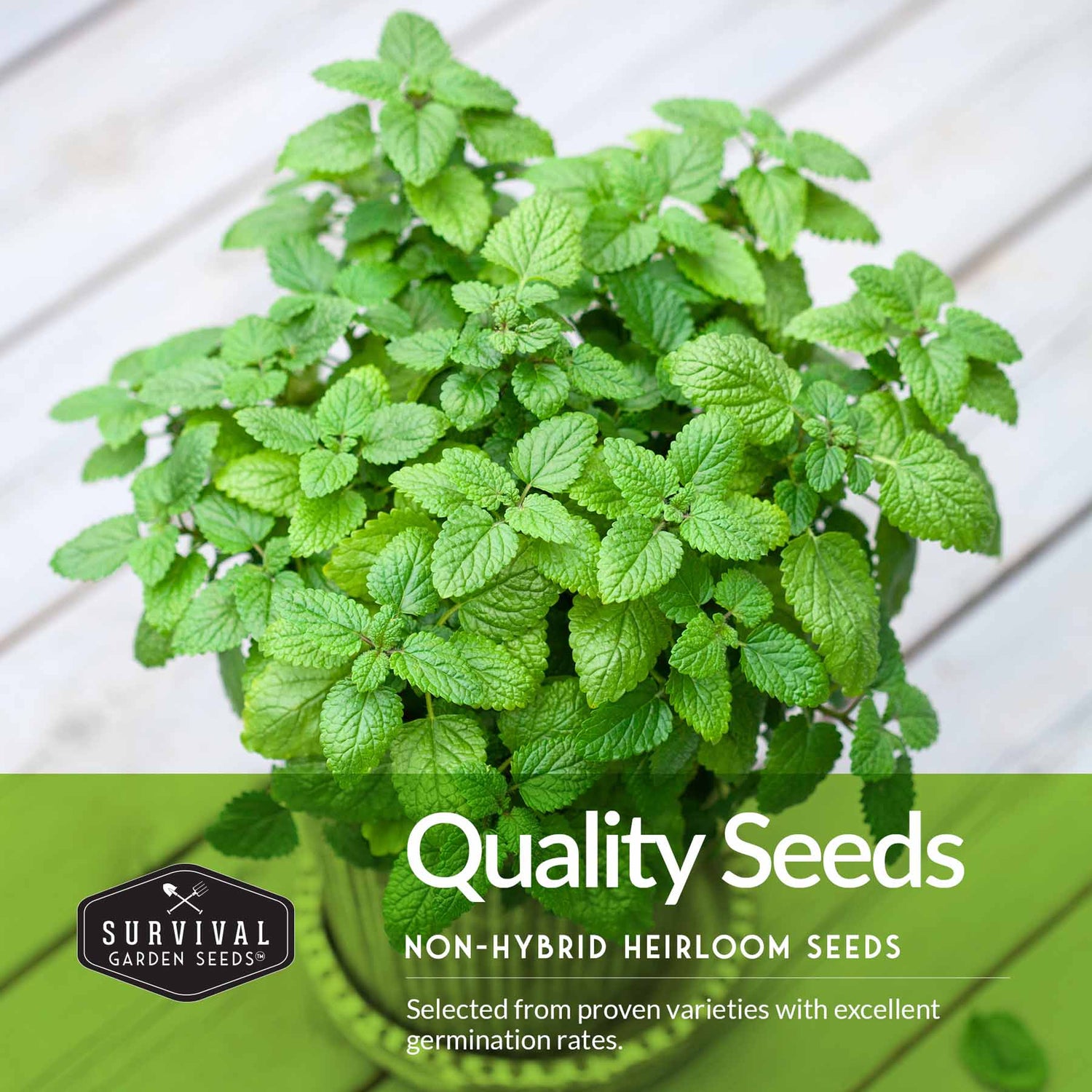 Non-hybrid heirloom seeds