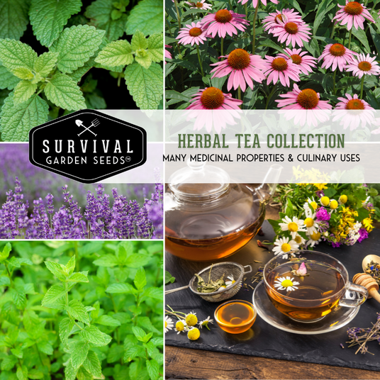 Herbal tea seed collection - herbs to grow to make herbal tea