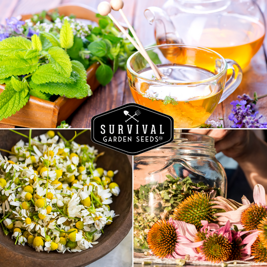 Herbal tea ingredients