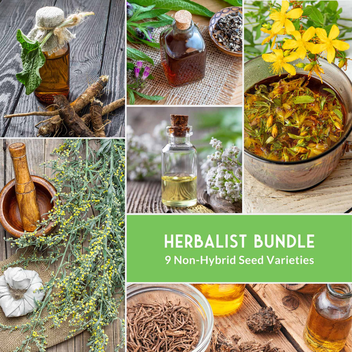 Collage of herbal images with a green banner indicating 'Herbalist Bundle' and '9 Non-Hybrid Seed Varieties'.