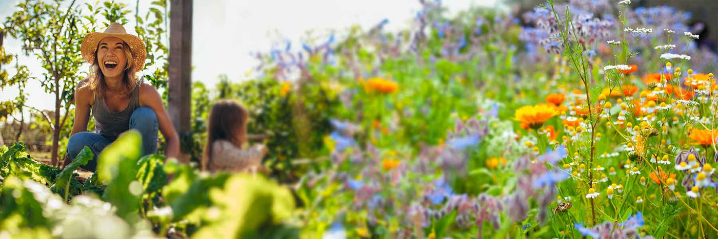 Survival Garden Seeds - Heirloom Seed Kits for your home garden