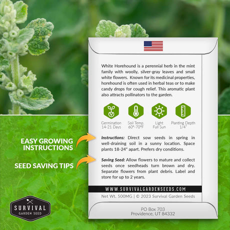 Horehound growing instructions