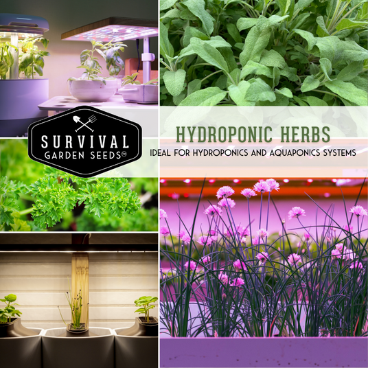 Hydroponic herb seed collection