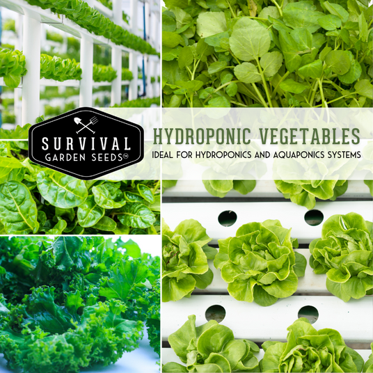 Hydroponic vegetable seed collection