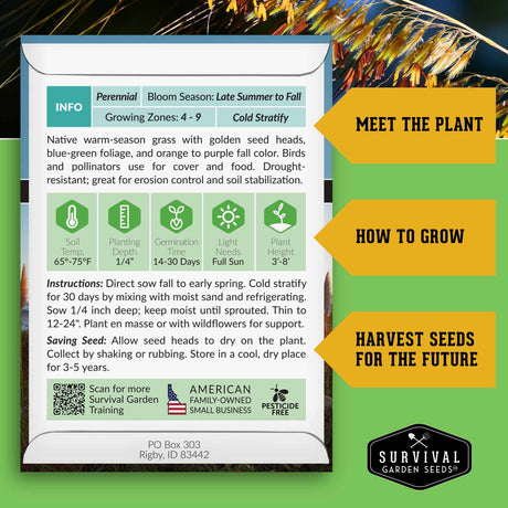 Indiangrass growing instructions