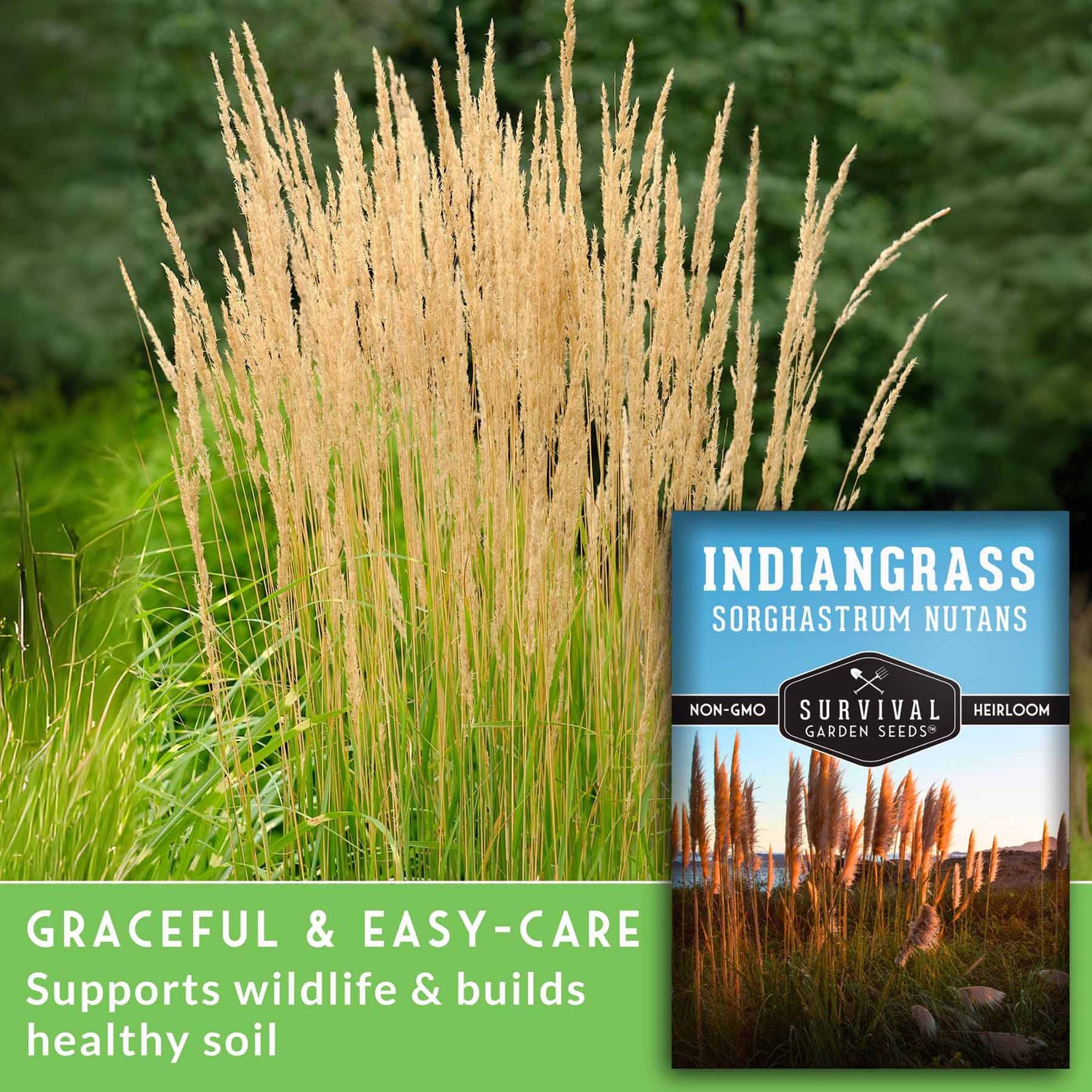Graceful & easy care