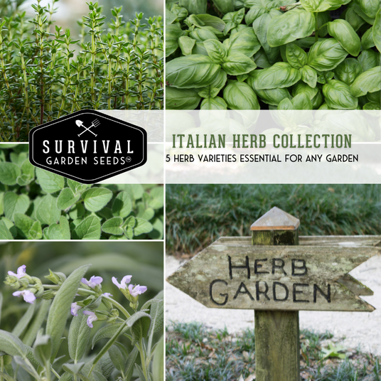 Italian herb garden seeds