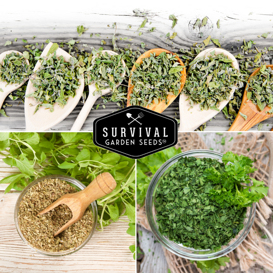 Dried Italian herbs