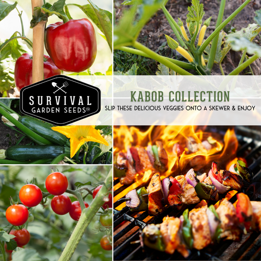 Kabob seed collection - vegetables that work great on the grill