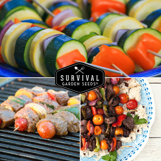 vegetable kabobs on the grill