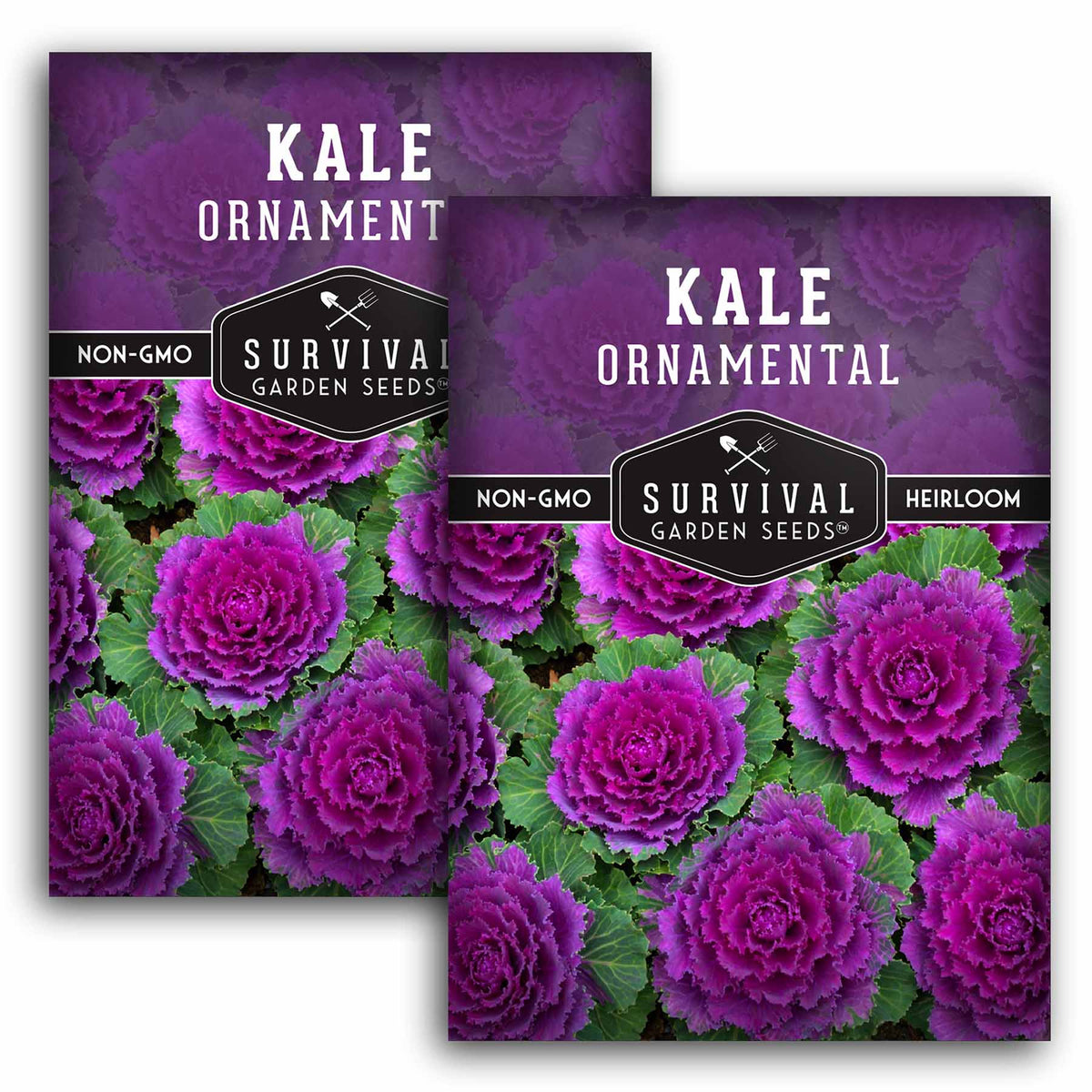 2 packet of Ornamental Kale seeds