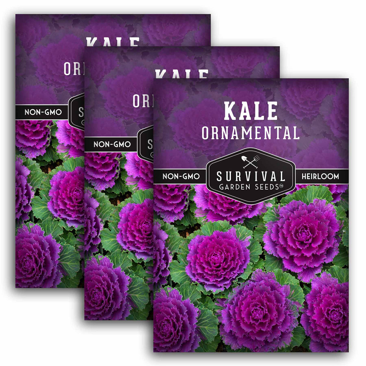 3 packet of Ornamental Kale seeds