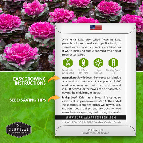 Ornamental Kale growing instructions