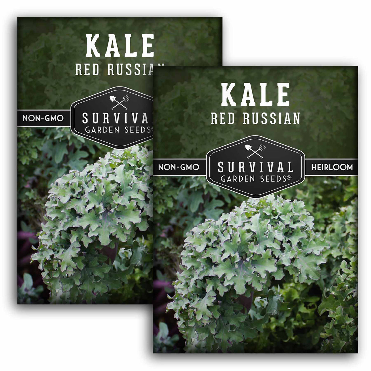2 packets of Red Russian Kale seeds