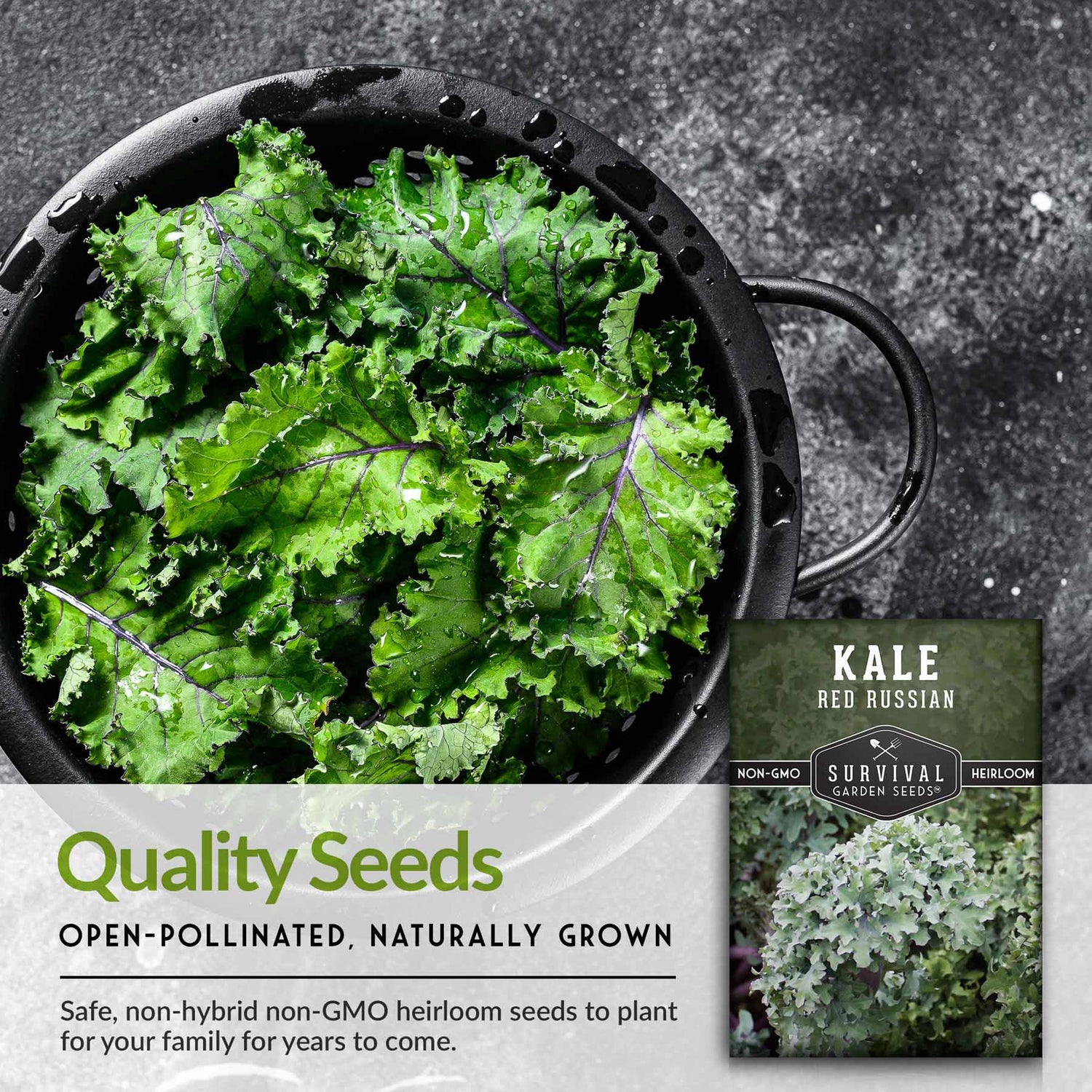 Quality Seeds