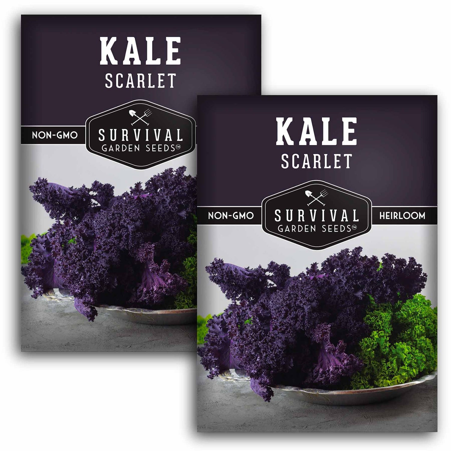 Scarlet Kale Seeds for Planting – Heirloom Edible & Ornamental Kale (Brassica oleracea) – Vibrant Red-Purple Superfood Greens for Gardens, Containers & Hydroponics