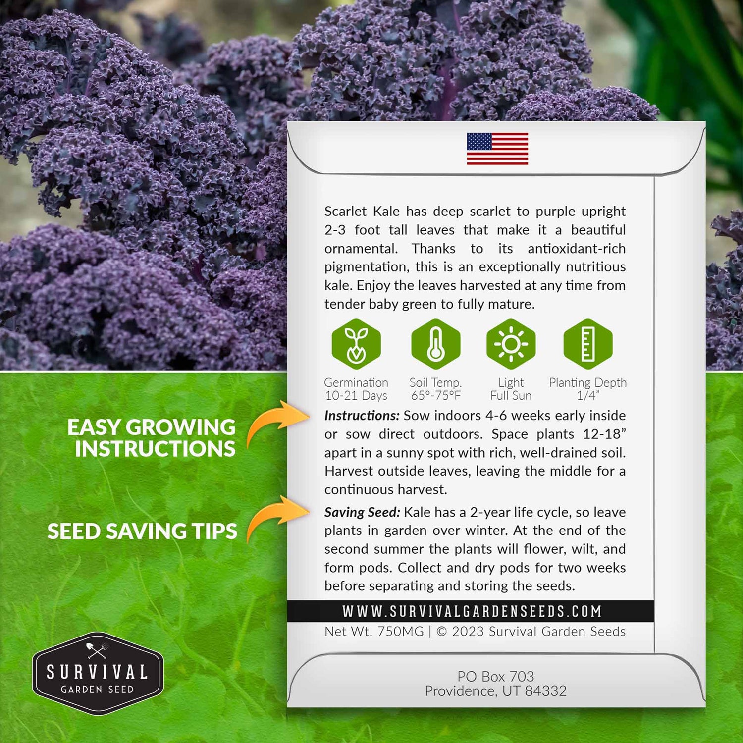 Scarlet Kale seed growing instructions