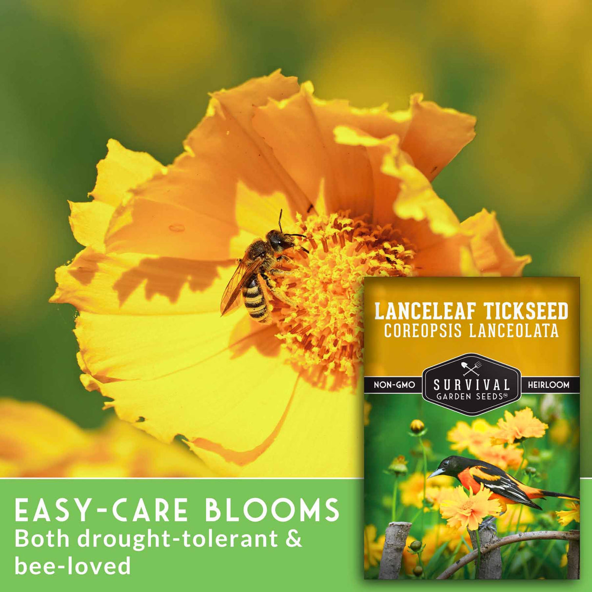 Easy care blooms