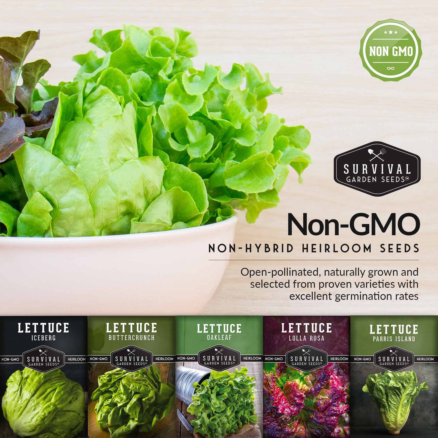 Non-gmo non-hybrid heirloom lettuce seeds
