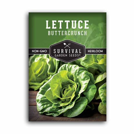 1 packet of Buttercrunch Lettuce seeds