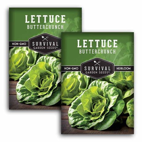 2 packets of Buttercrunch lettuce seeds